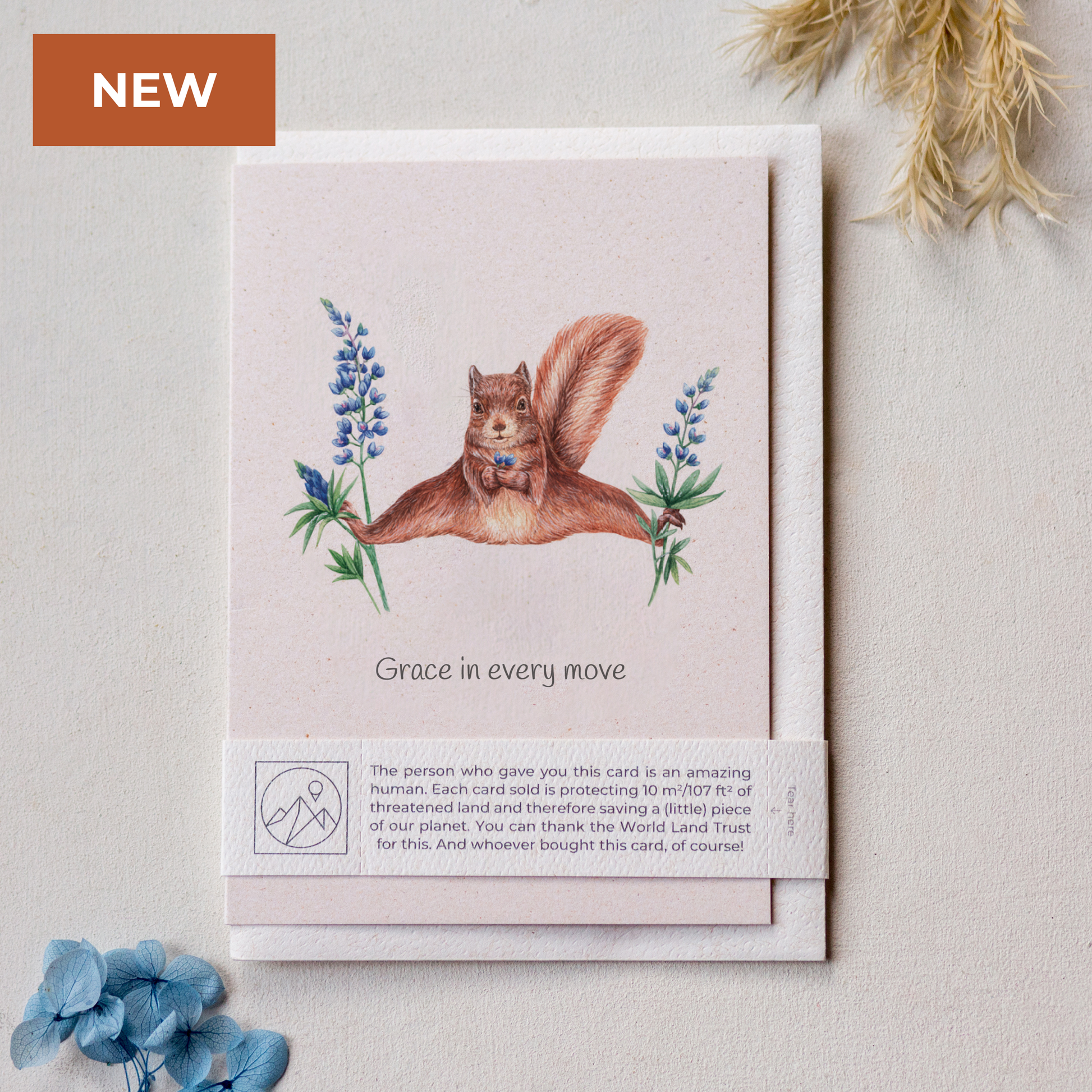 Squirrel and flowers funny wildlife give back greeting card with recycled envelope and plastic free band