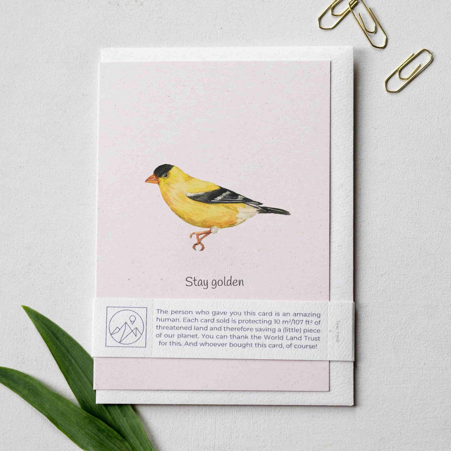 Charity card featuring a golden finch illustration and the phrase 'Stay golden'.