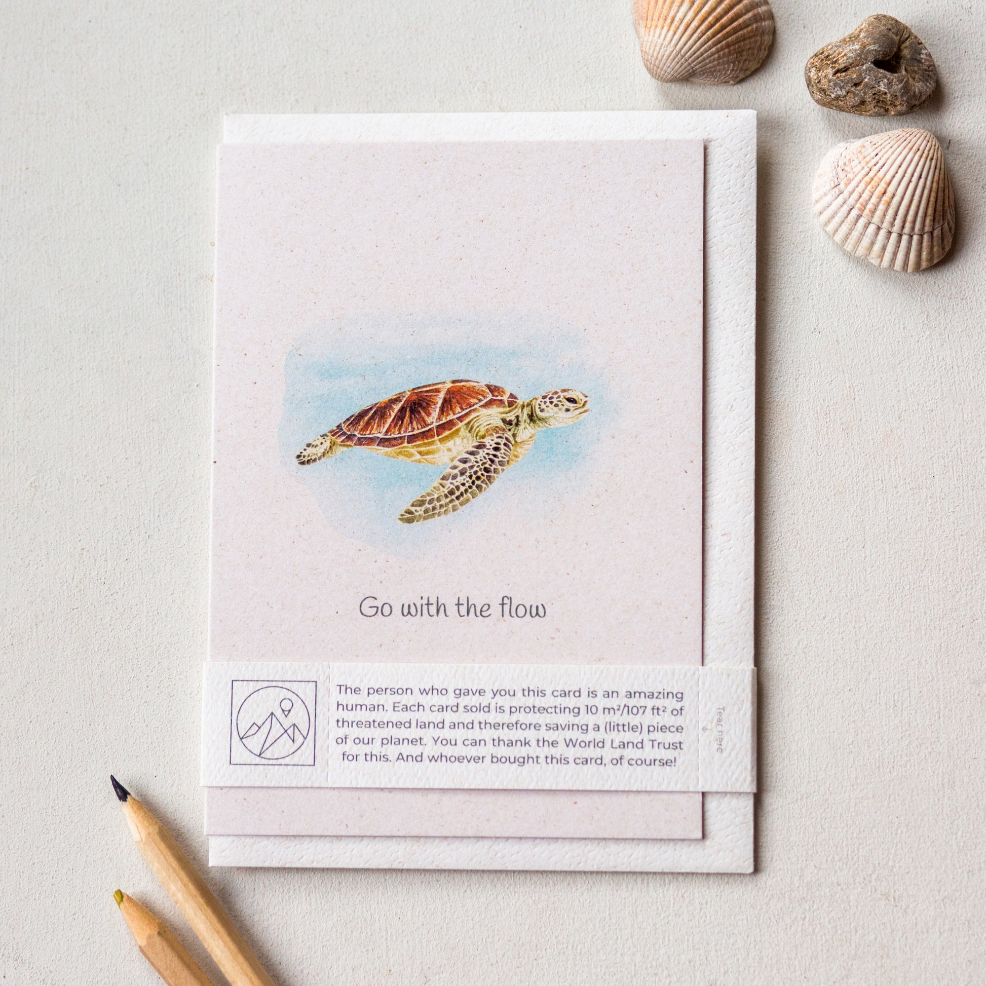 Hand painted turtle calming go with the flow greeting card displayed flat with envelope and paper band, nature inspired card